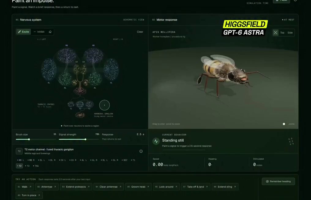 Browser interactive fly rig where painting brain regions drives walk, groom, or proboscis motions, built with GPT-6 Astra
