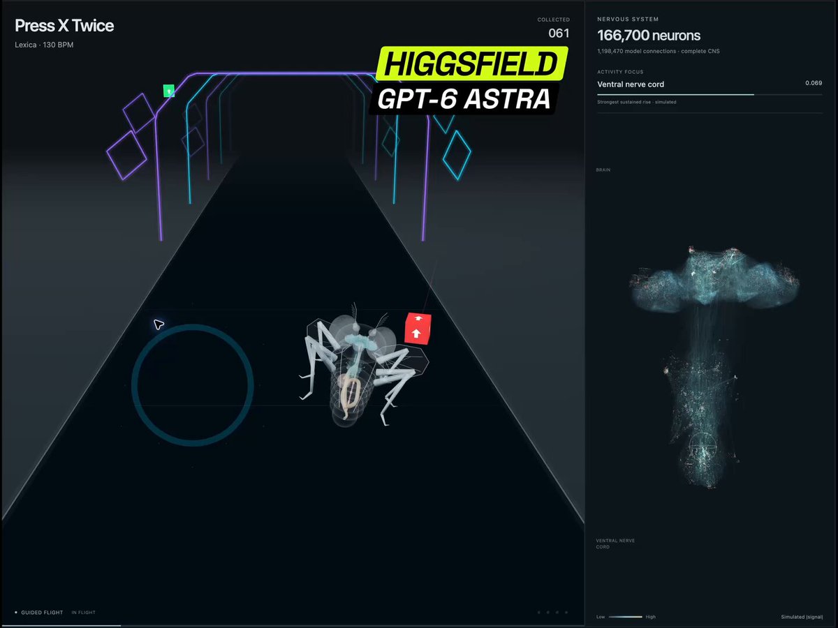 Video preview of fly rhythm-game simulation