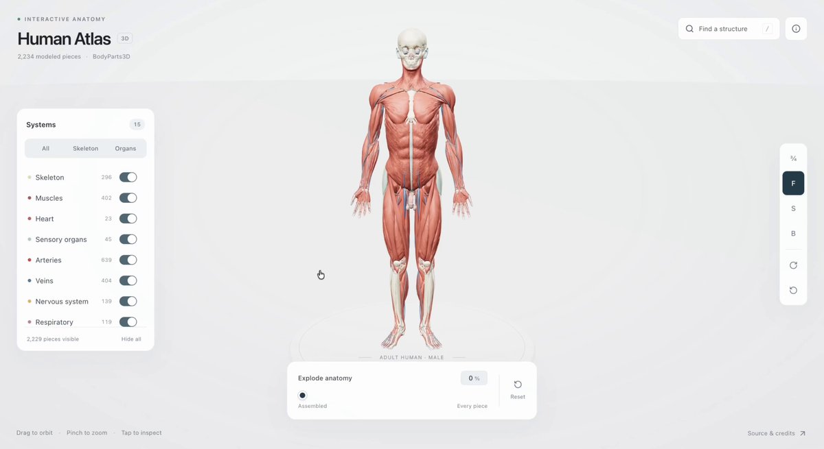Interactive 3D human atlas splitting body into named anatomical pieces