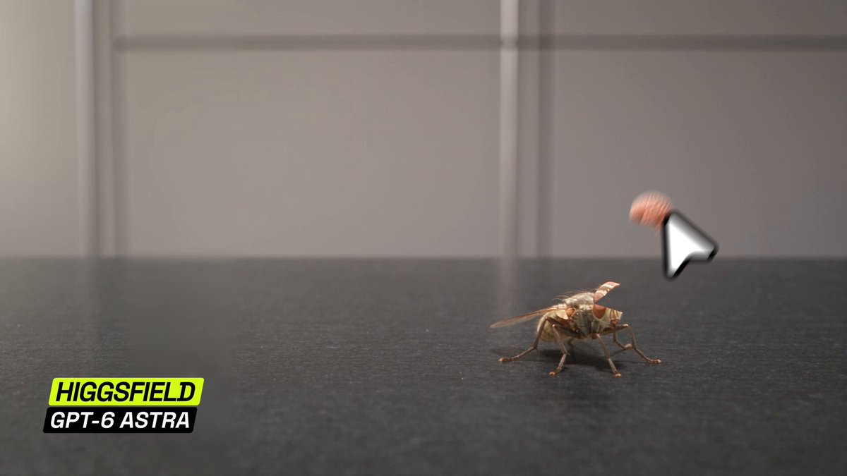 Video preview of interactive fly-brain 3D world