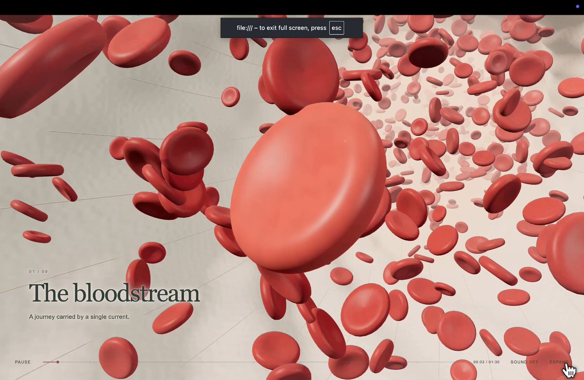 Video preview of a Three.js camera path traveling through blood cells and organs inside a human body