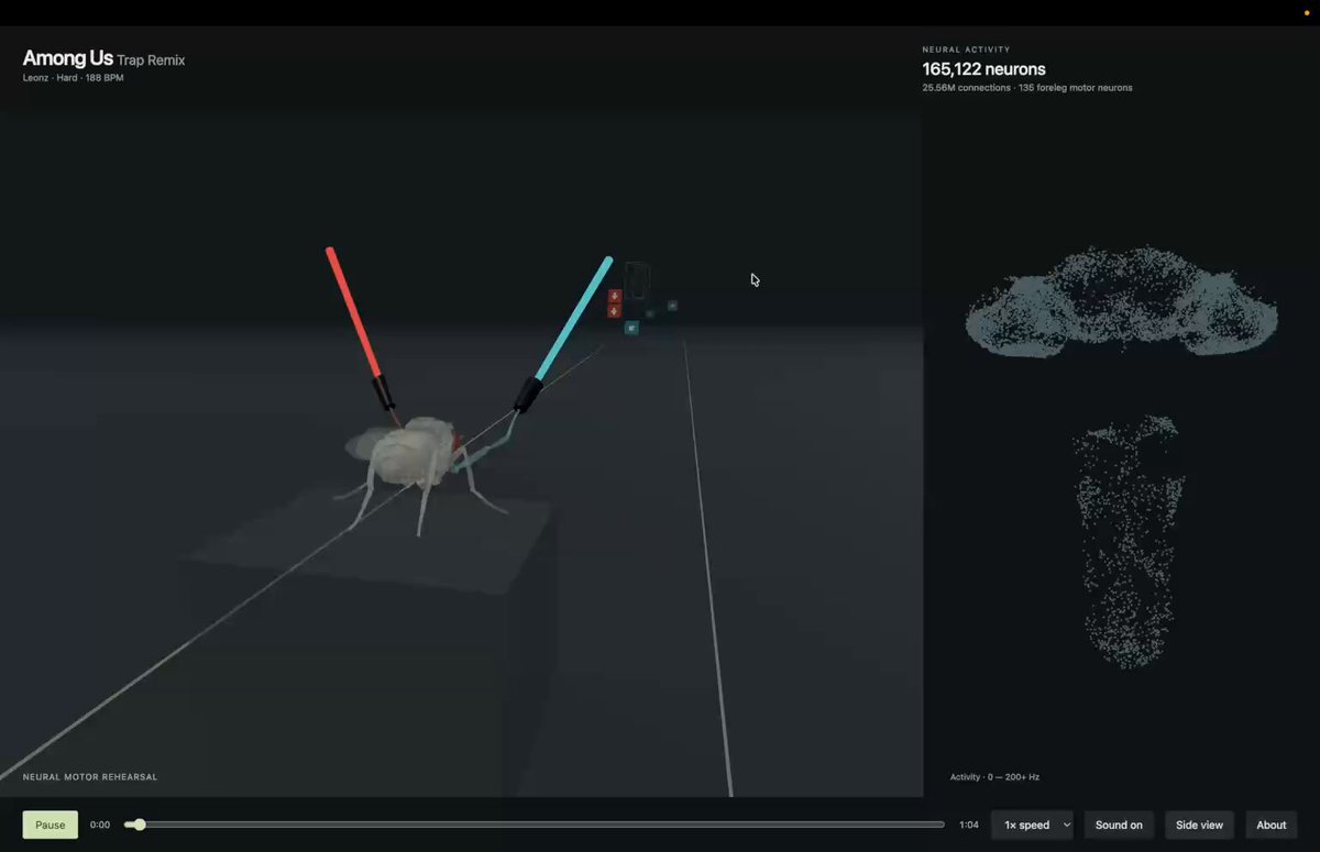 Fly brain playing Beat Saber interactive demo