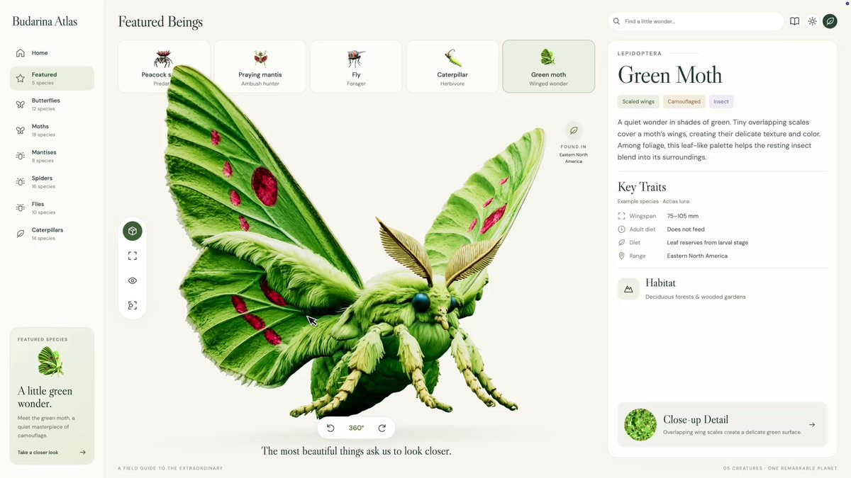 Interactive 3D insect website