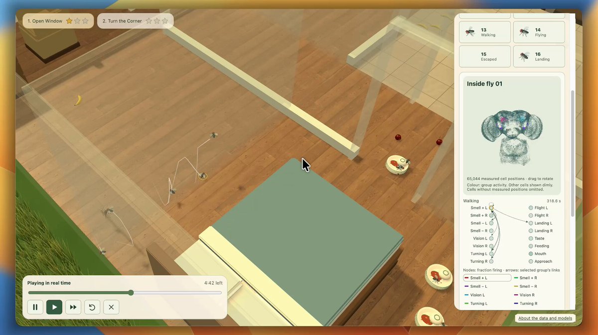 Fly Escape Room gameplay with simulated fruit-fly NPCs escaping