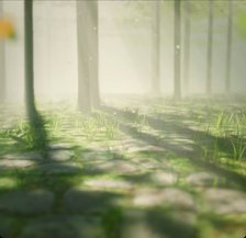 JavaScript forest canopy made with Claude Sonnet 5.5