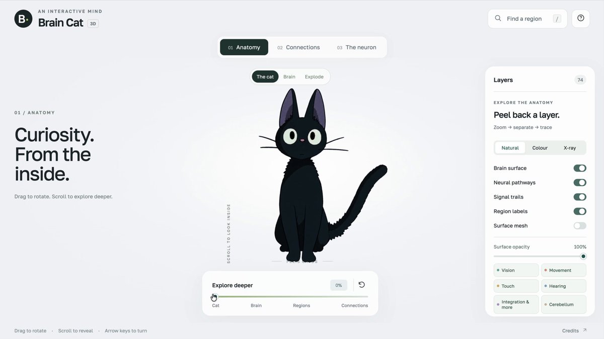 Brain Cat interactive anatomy explorer preview