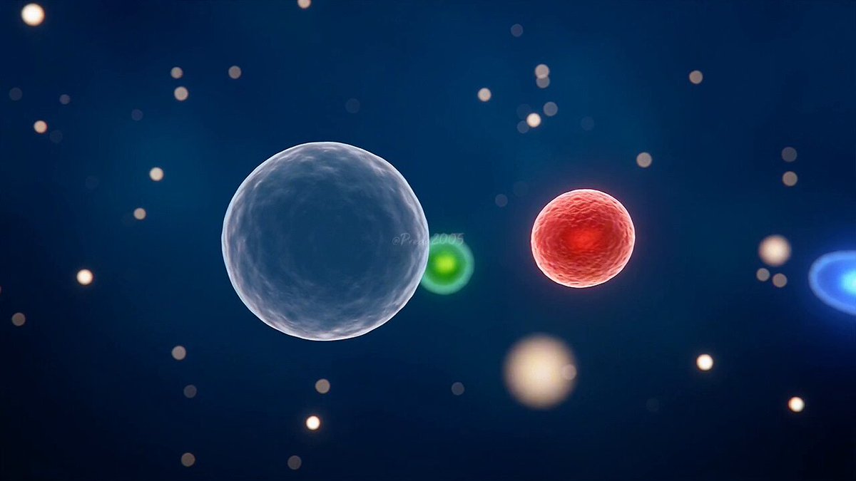 Video preview of microscopic creature evolving inside a snail shell game