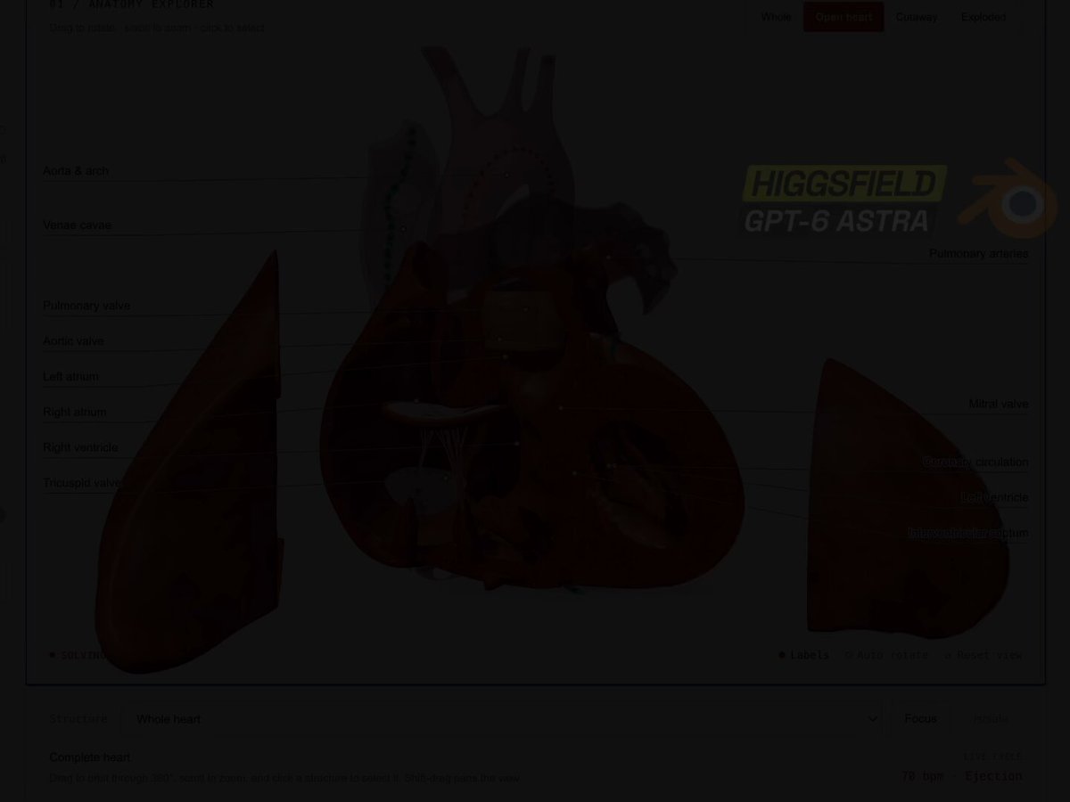 Interactive beating heart with peelable layers and ECG