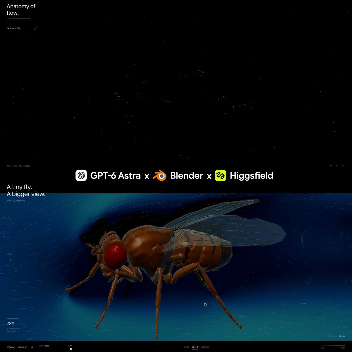 Video of an interactive 3D Navier–Stokes wind tunnel around a fly