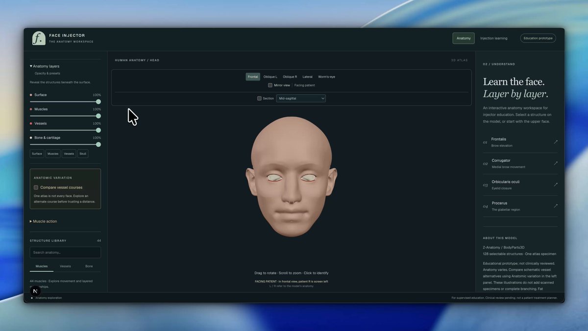 Video preview of facial anatomy learning web app UI