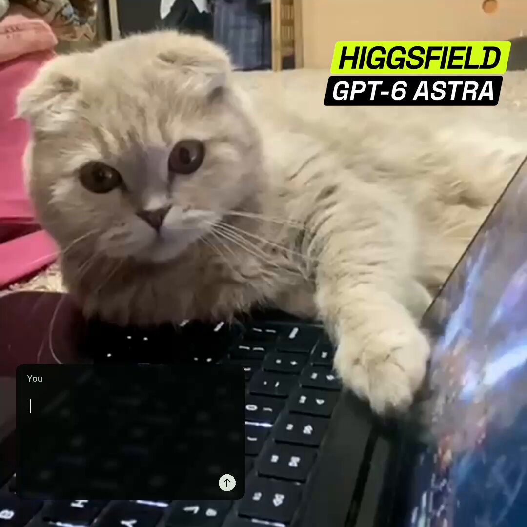 App matching a cat’s expressions to interpreted emotions