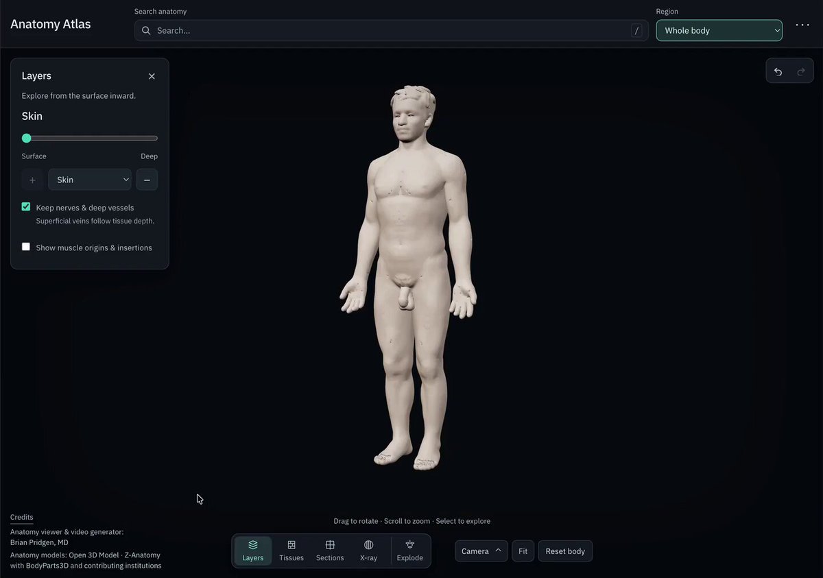 Video preview of Anatomical Atlas 3D anatomy web tool